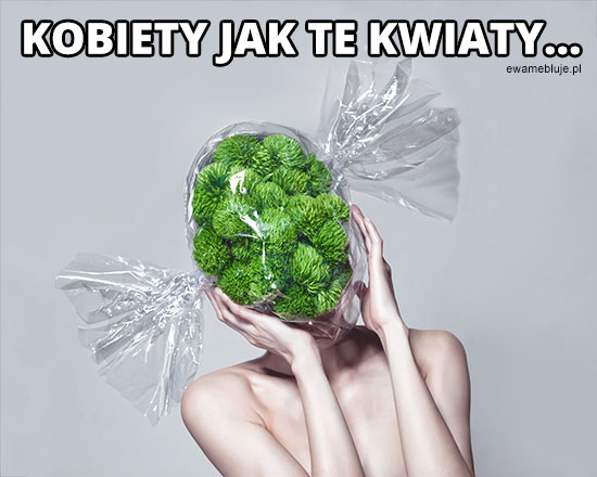 Kobiety jak te kwiaty, powąchać tak, dotykać nie - ewamebluje.pl